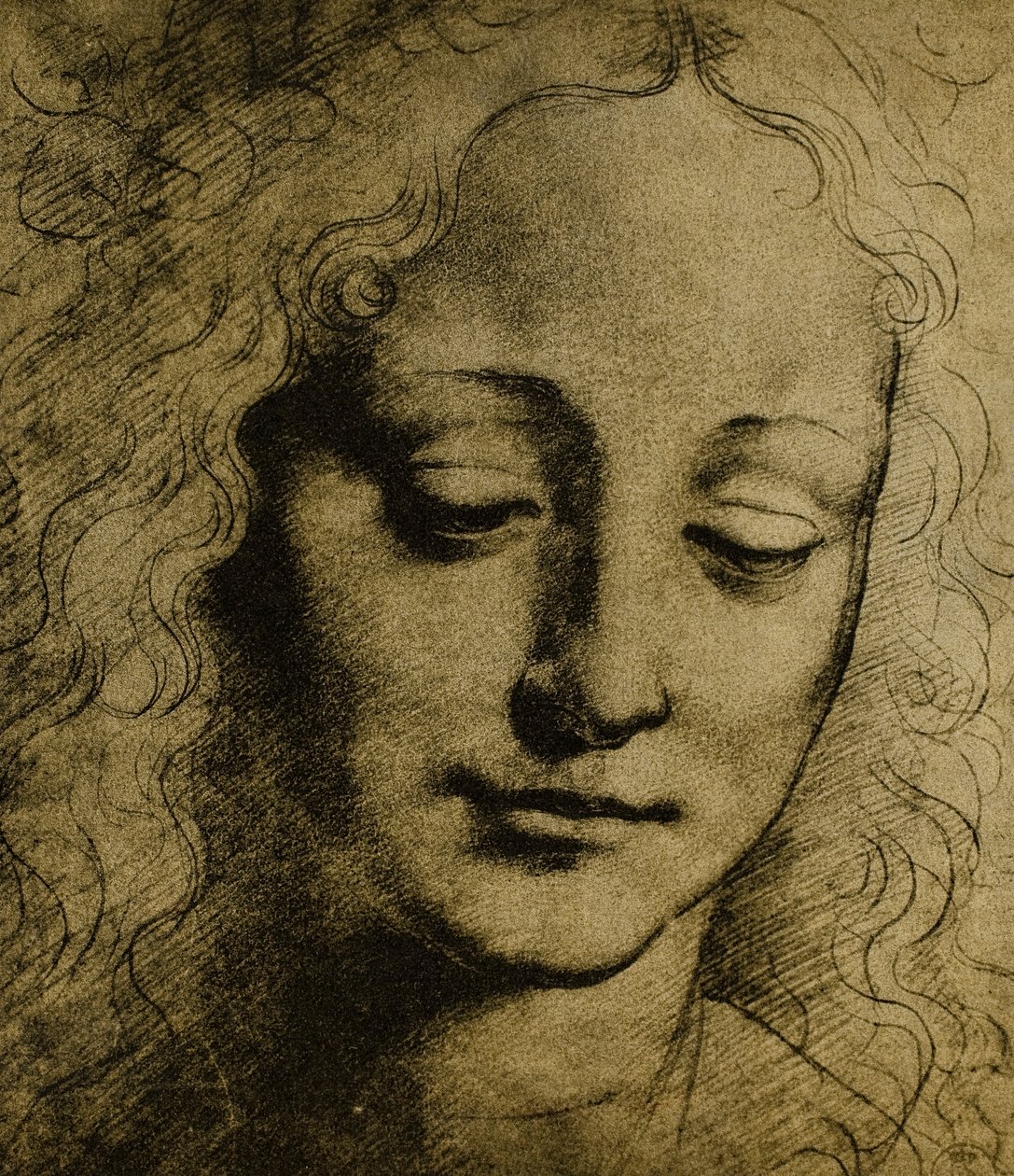 Unge hoved; tegning af Leonardo da Vinci. Kabinet for tegninger og tryk, Uffizi Gallery, Firenze af Leonardo da Vinci