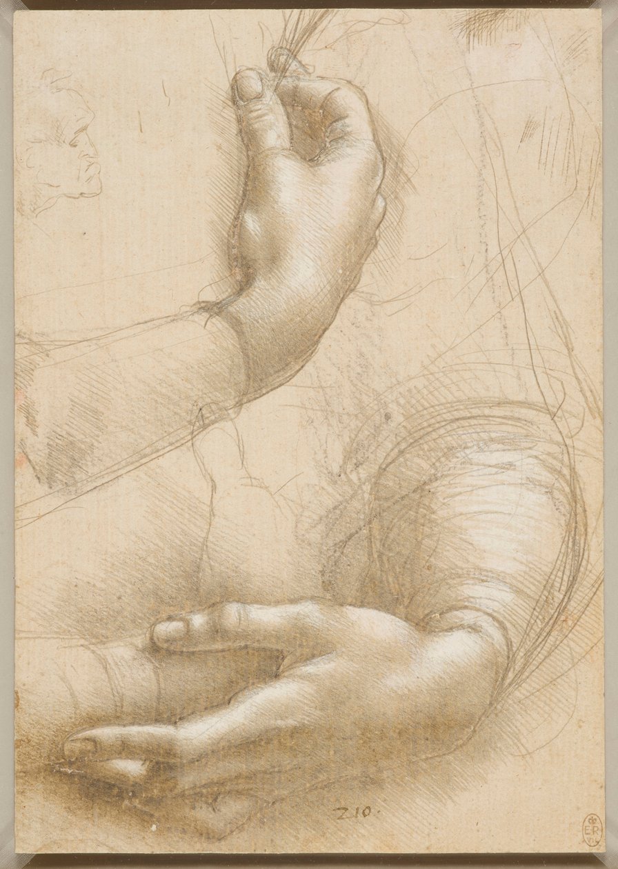 Arme og kvindehænder, ca. 1480. af Leonardo da Vinci