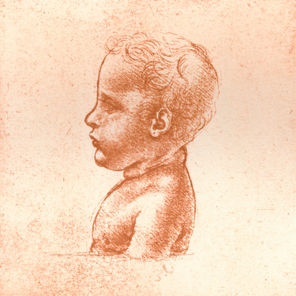 Buste af en dreng, c1472-c1519 1883 af Leonardo da Vinci