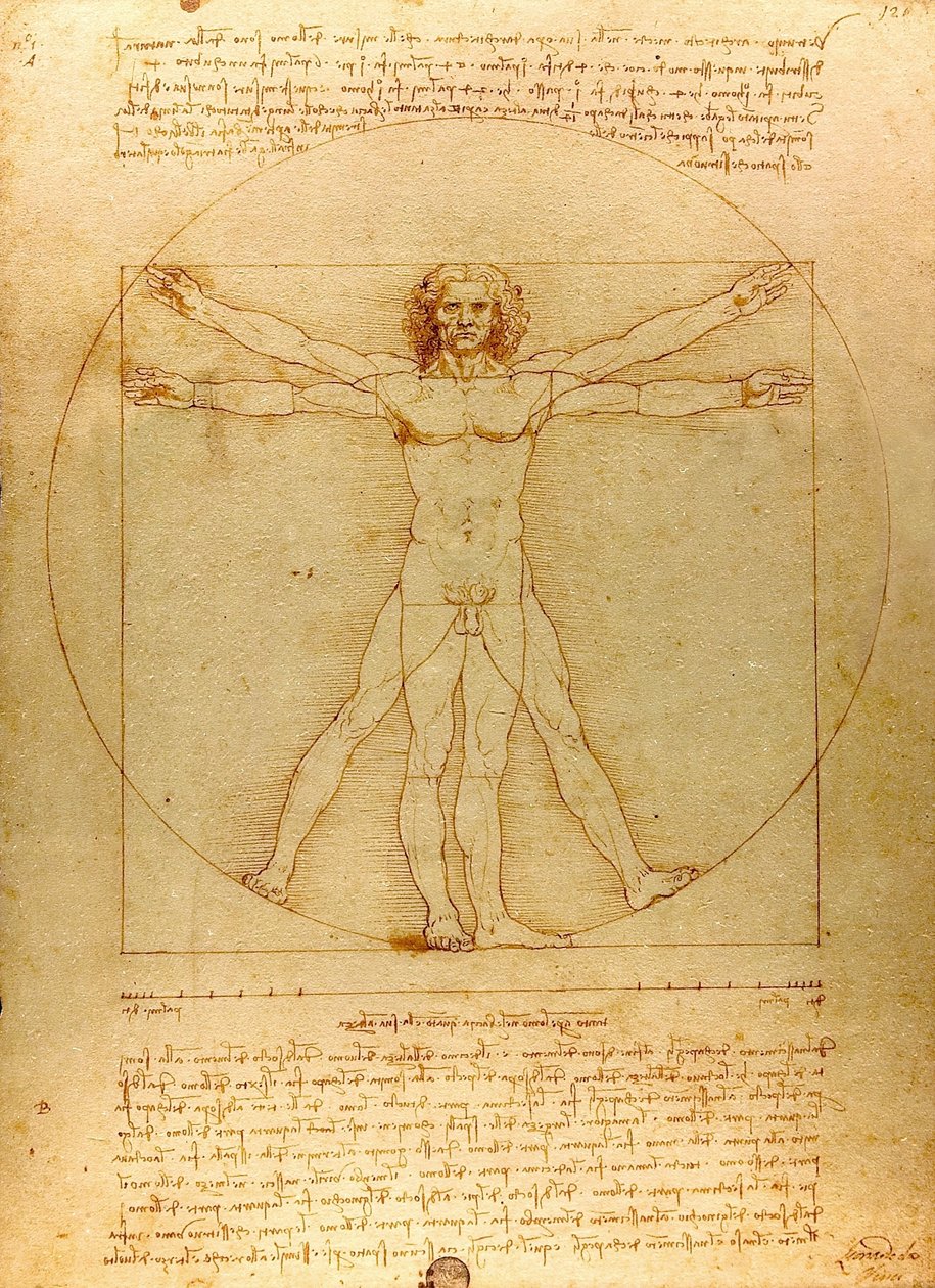 Da Vinci Vitruve Luc Viatour (beskåret) af Leonardo da Vinci