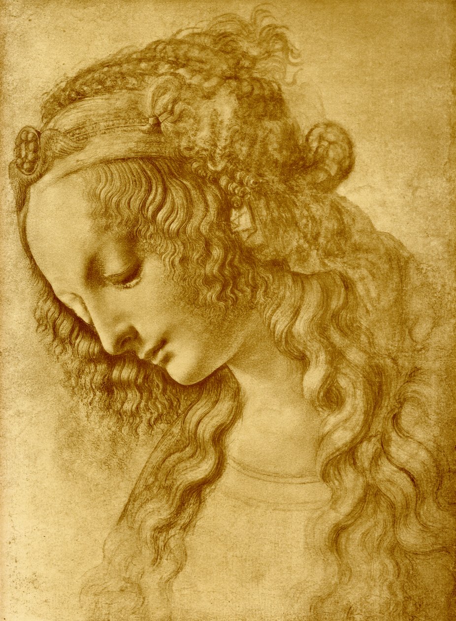 Kvindelig hoved af Leonardo da Vinci