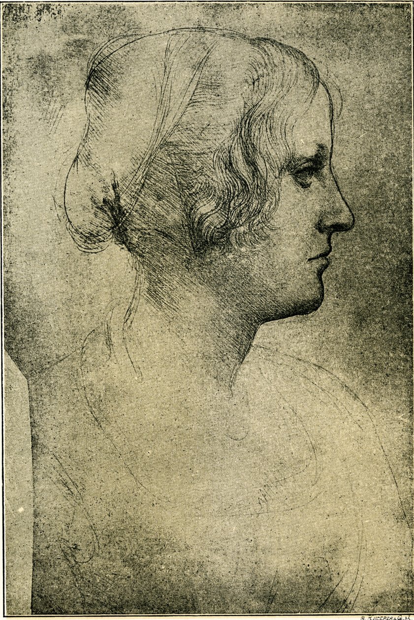 Kvindelig profilhoved af Leonardo da Vinci