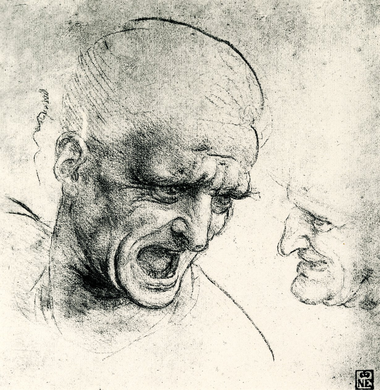 Hovedstudier af Leonardo da Vinci
