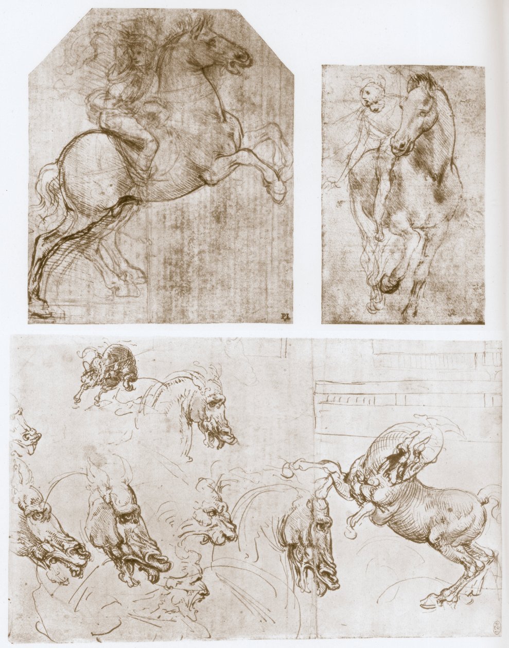 Rytter, 1480-1481. af Leonardo da Vinci