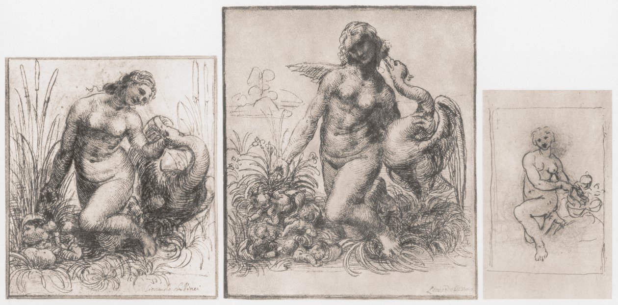 Leda og svanen, c1504-1506 af Leonardo da Vinci