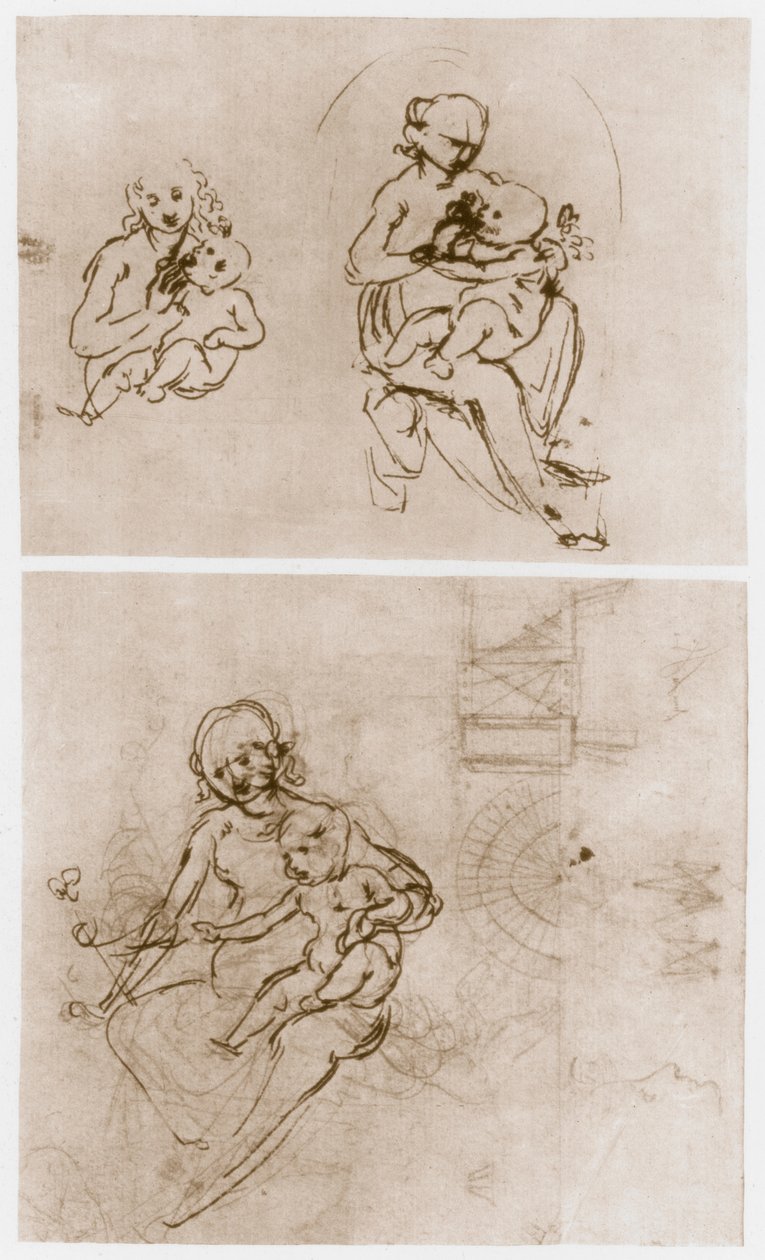 Madonna med blomsten, c1478. af Leonardo da Vinci