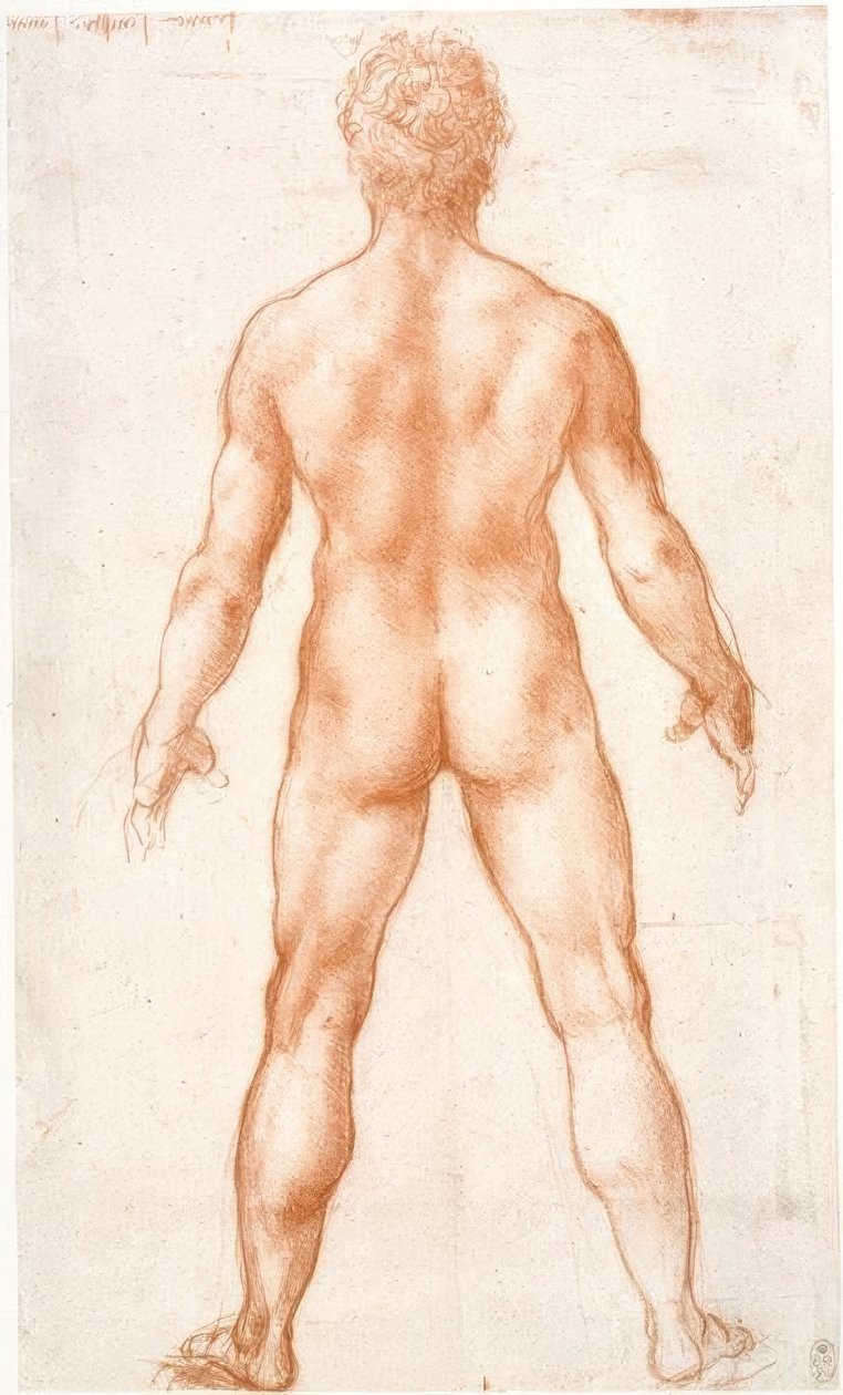 Mand nøgen bagfra af Leonardo da Vinci