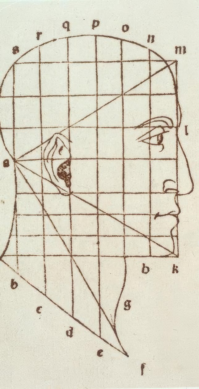 Proportionundersøgelse af det menneskelige hoved af Leonardo da Vinci