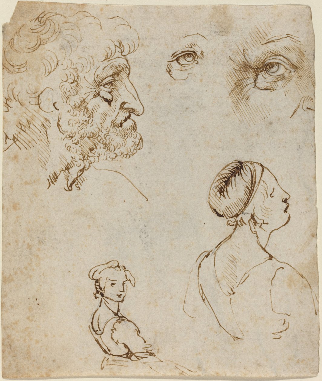 Studieark [recto] af Leonardo da Vinci
