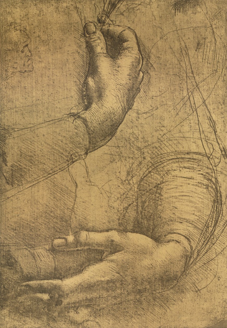 Studie af kvindelige hænder, c1472-c1519 1883 af Leonardo da Vinci