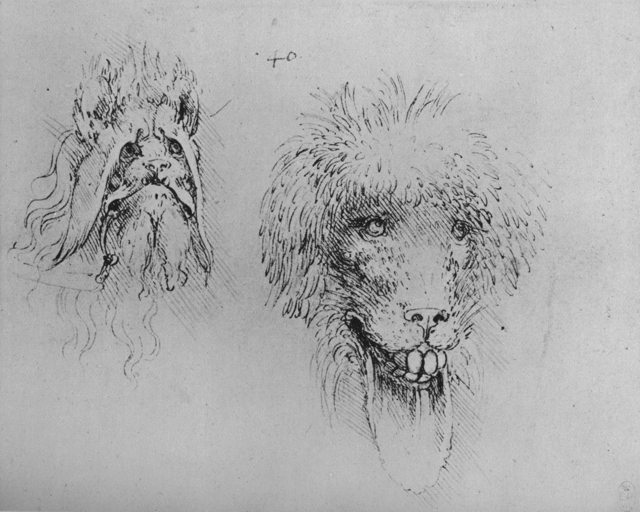 Two Heads of Monsters, c1480 1945 af Leonardo da Vinci