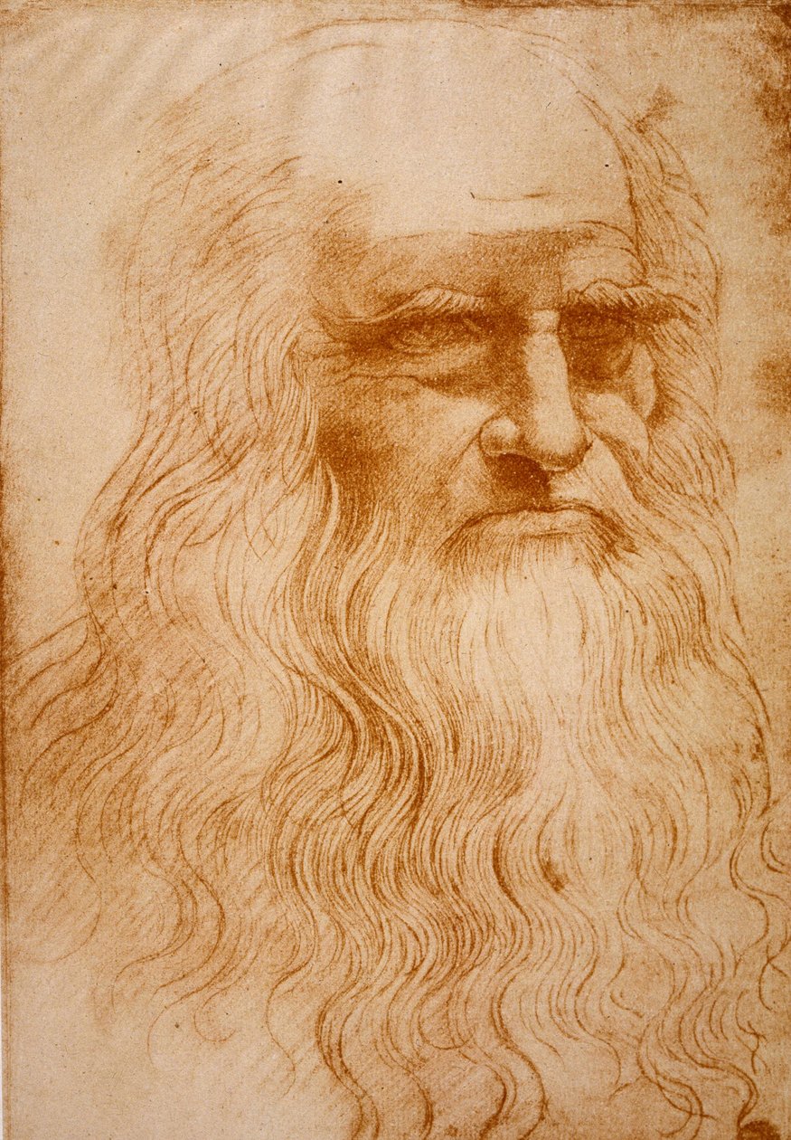 Ukendt billede af Leonardo da Vinci
