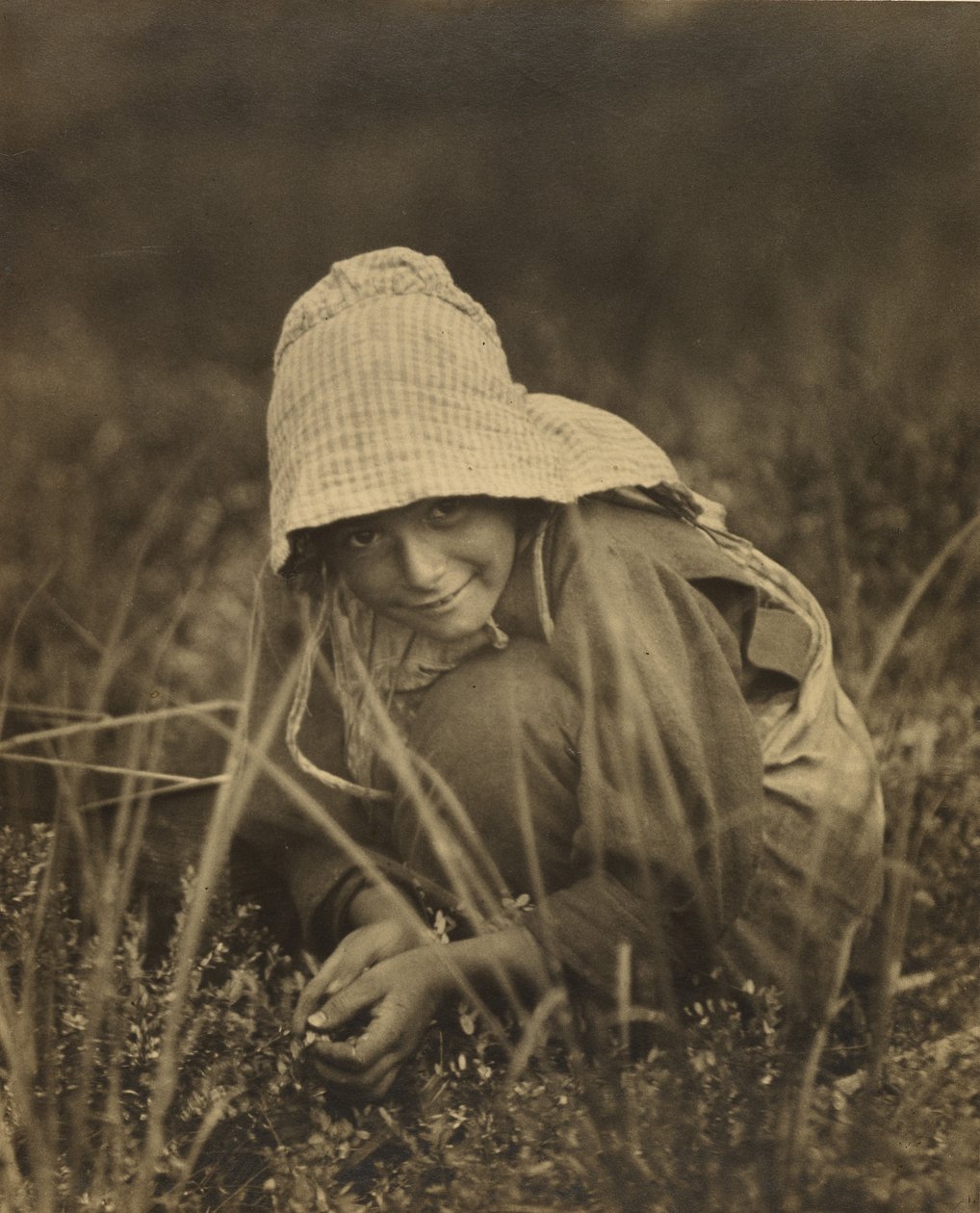 Tranebærplukker, New Jersey af Lewis W. Hine