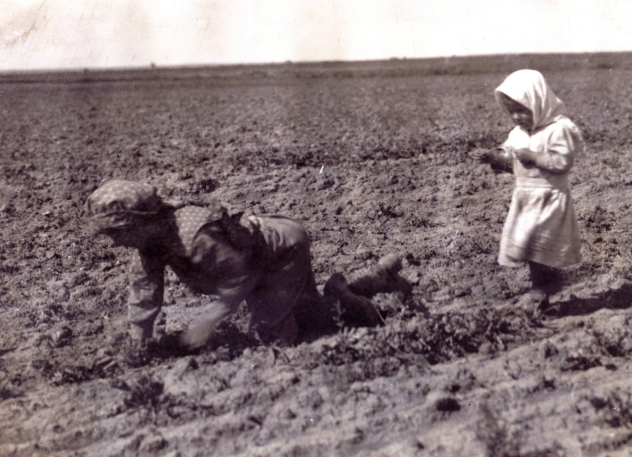 Ukendt billede af Lewis Wickes Hine