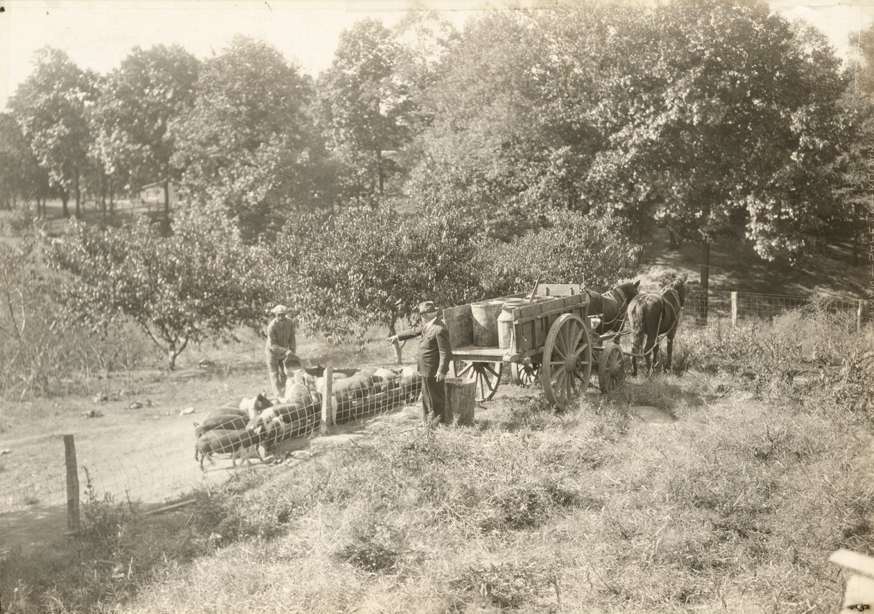 Uden titel, ca. 1935. af Lewis Wickes Hine