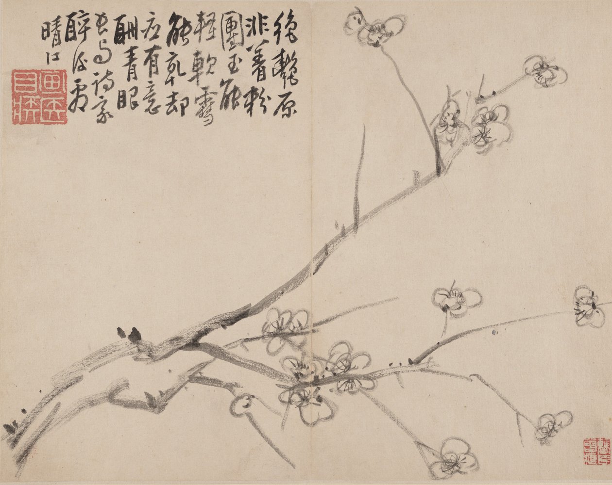 Album af Blossoming Plum, 1742. af Li Fangying