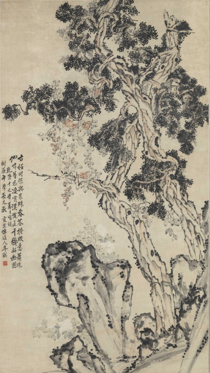 Cypres top. af Li Shan