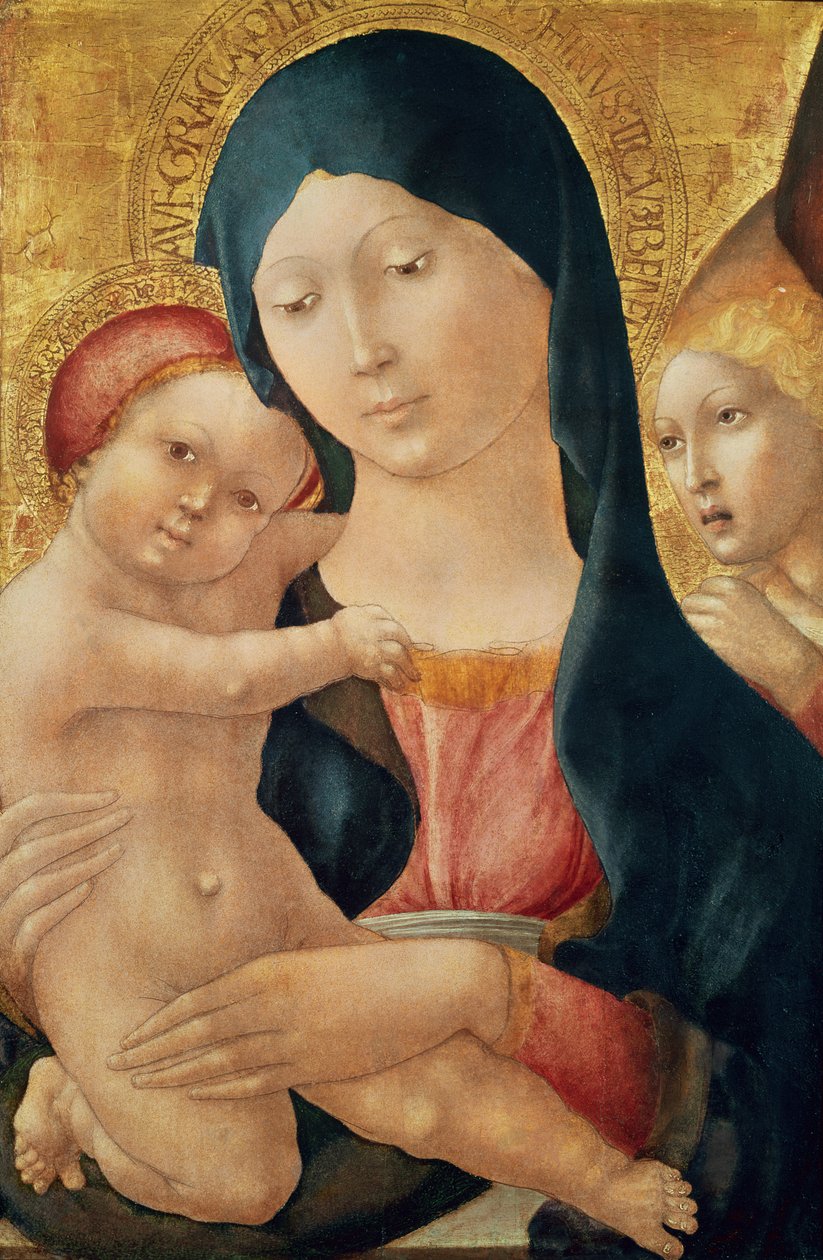 Jomfru og barn med en engel, ca. 1468-70 (tempera på panel) af Liberale da Verona