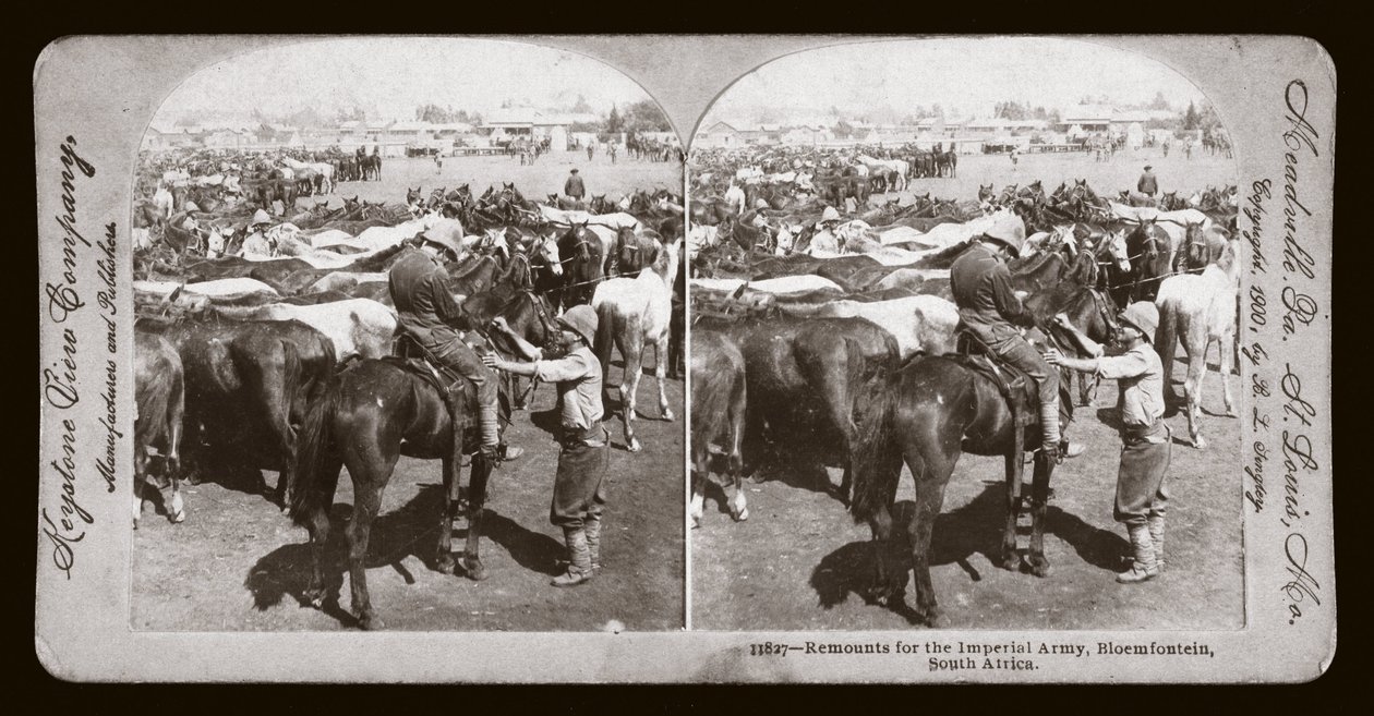 Boer War (Sydafrika af Unbekannt Unbekannt
