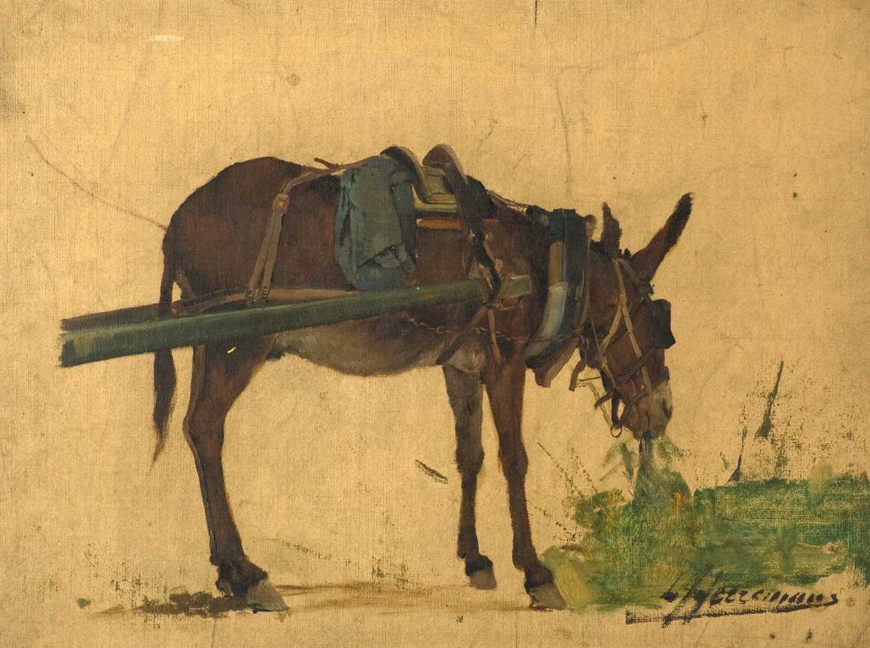 Studie af et muldyr (olie på lærred) af Lievan Herremans