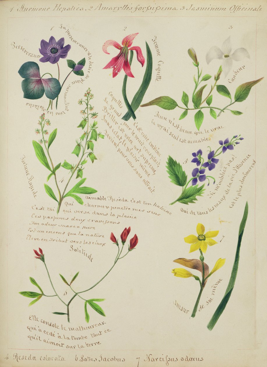 Vilde blomster (side fra en skitsebog med vers) af Lili Cartwright