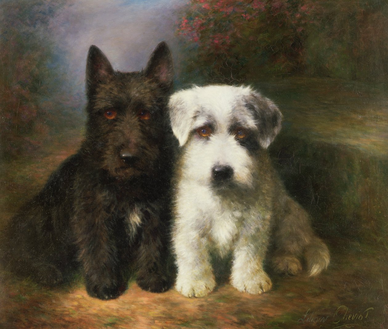 En skotsk og en Sealyham Terrier af Lilian Cheviot