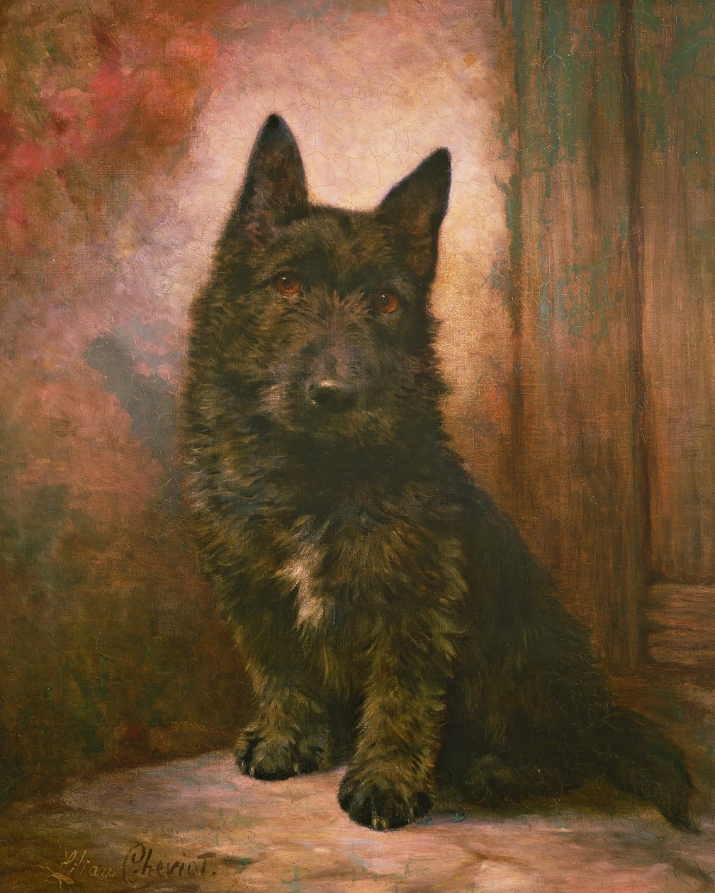 Scottie hvalp af Lilian Cheviot