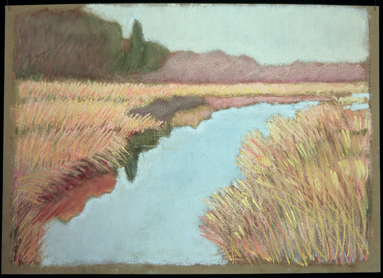 Full Tide, 1990 af Lillian Delevoryas