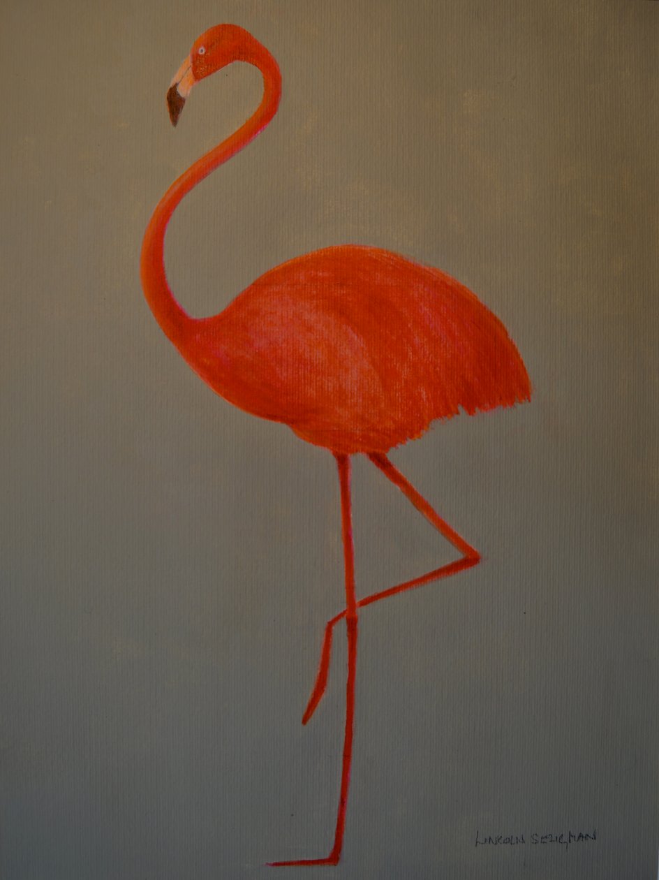 Flamingo af Lincoln Seligman