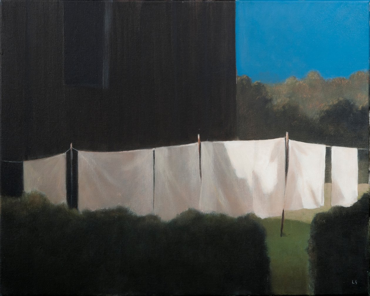 Normas vask, 2012 (akryl på lærred) af Lincoln Seligman