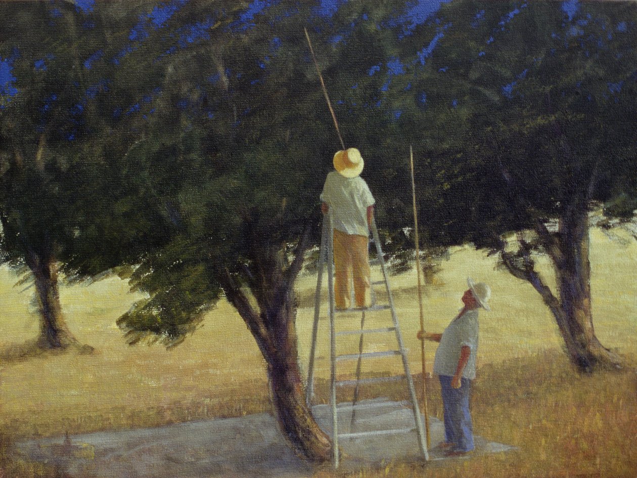 Olivenplukkere, 1985 (akryl på lærred) af Lincoln Seligman