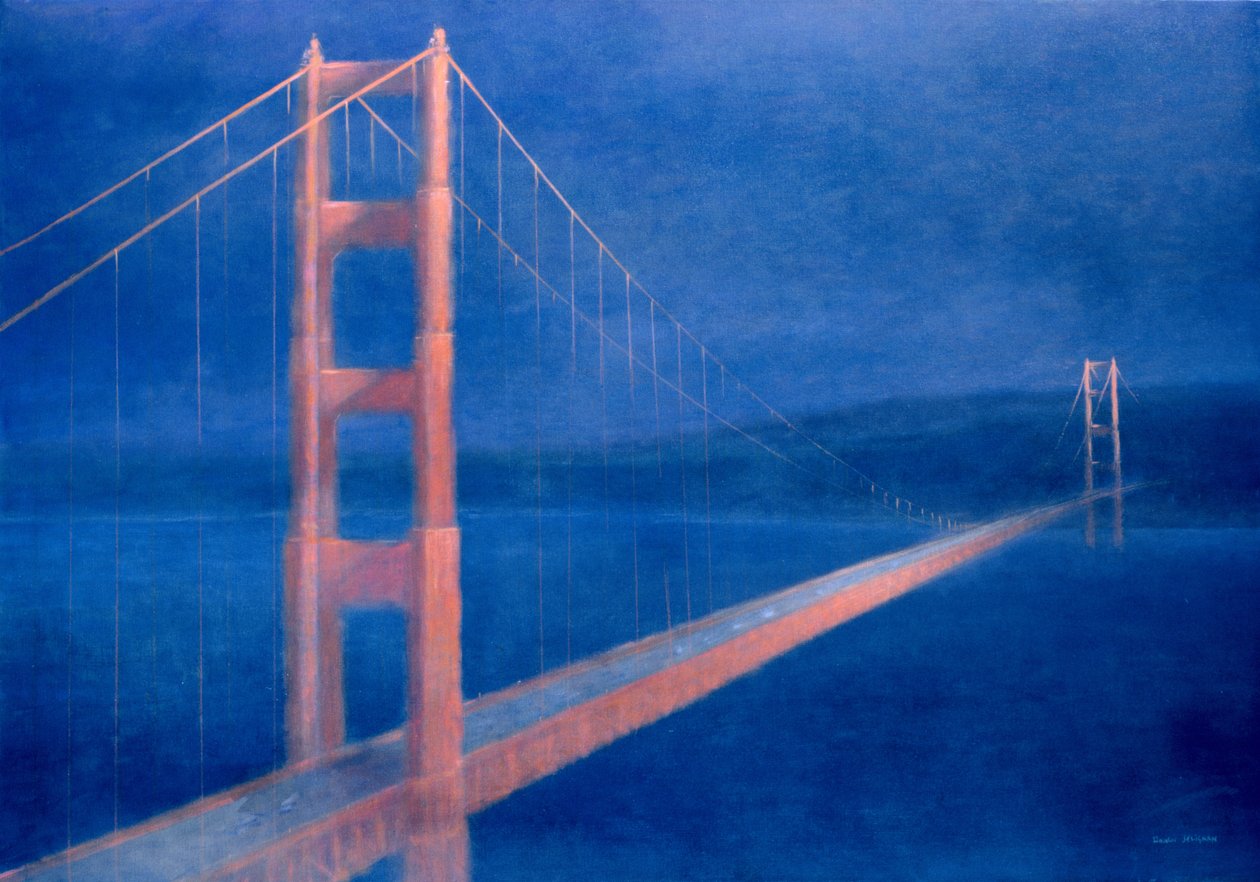 San Francisco, 2004 (akryl) af Lincoln Seligman
