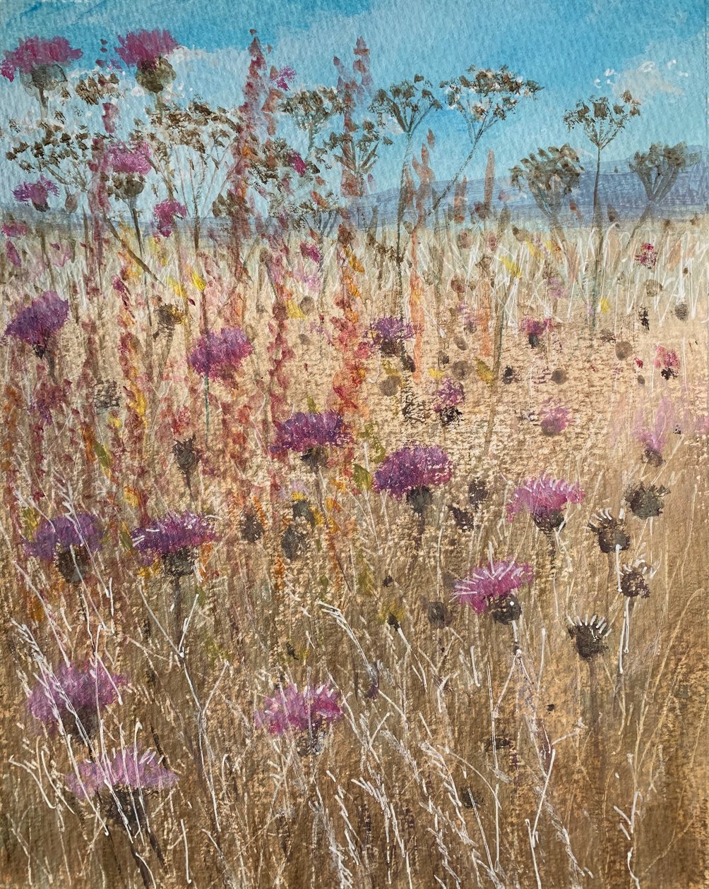 Dark Scabious af Lincoln Seligman