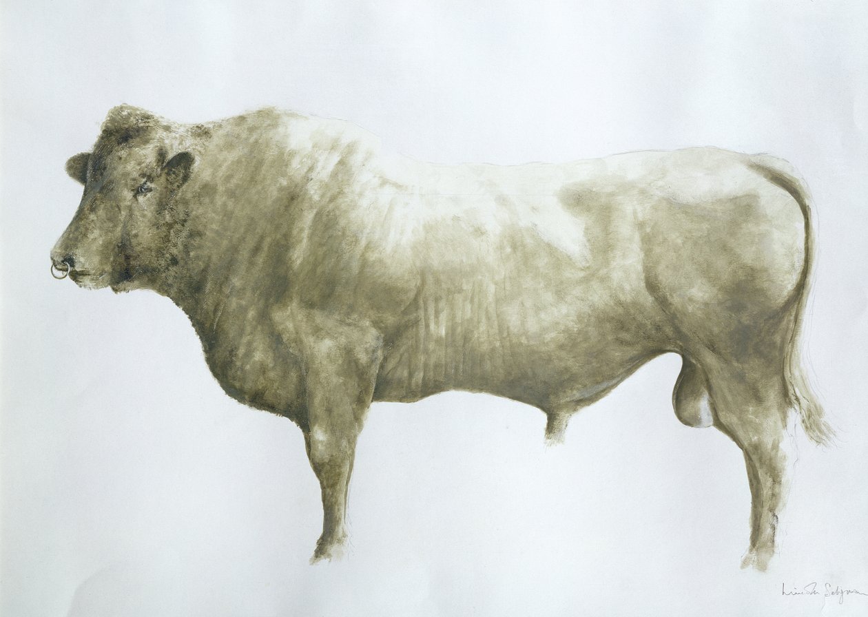 Islay Bull, 2004 (akryl på lærred) af Lincoln Seligman