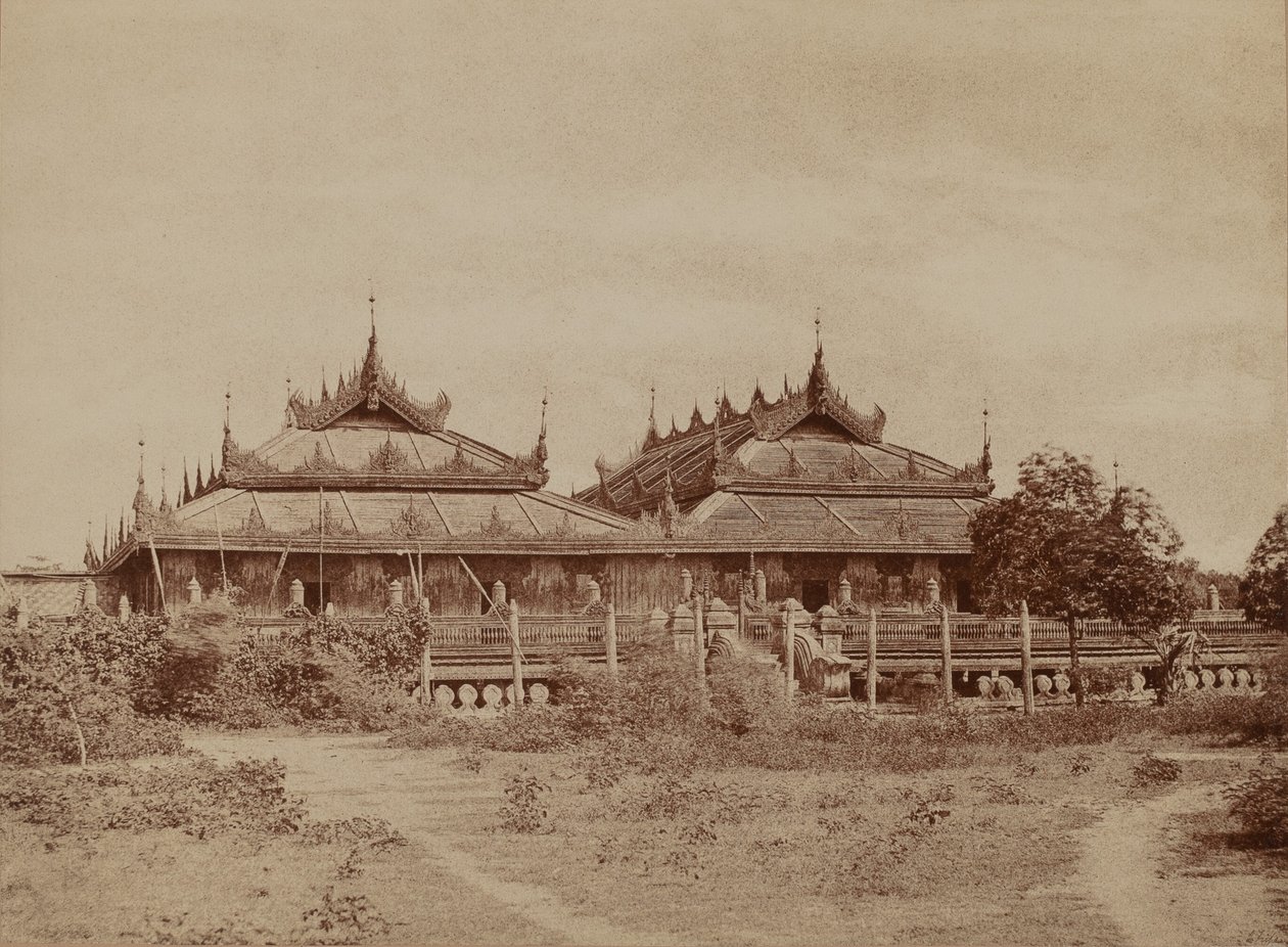 Amerapoora: Pyee road Kyoung af Linnaeus Tripe
