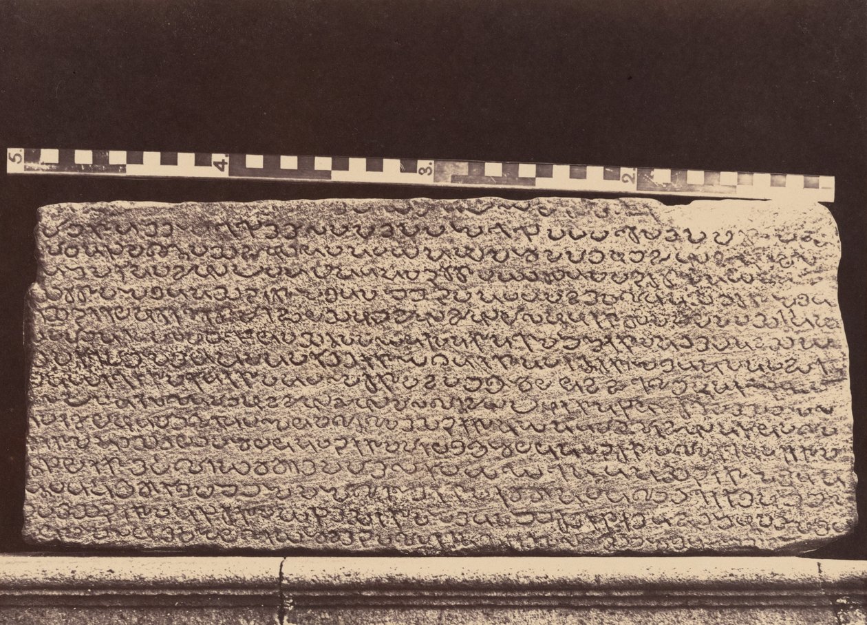 Elliot Marbles,1859 (foto) af Linnaeus Tripe