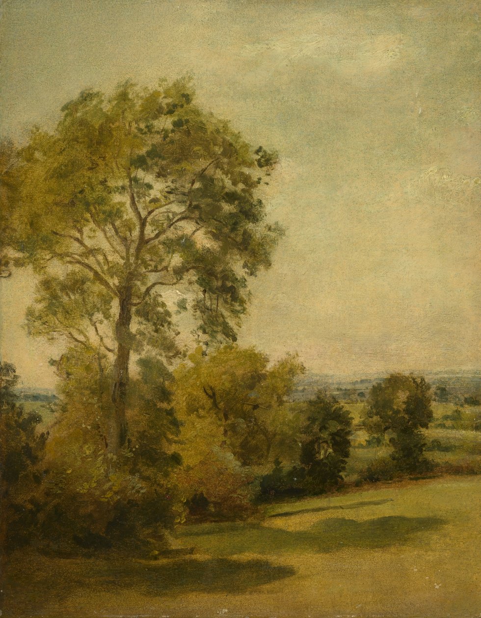 Træ i et landskab, ca. 1850 af Lionel Constable