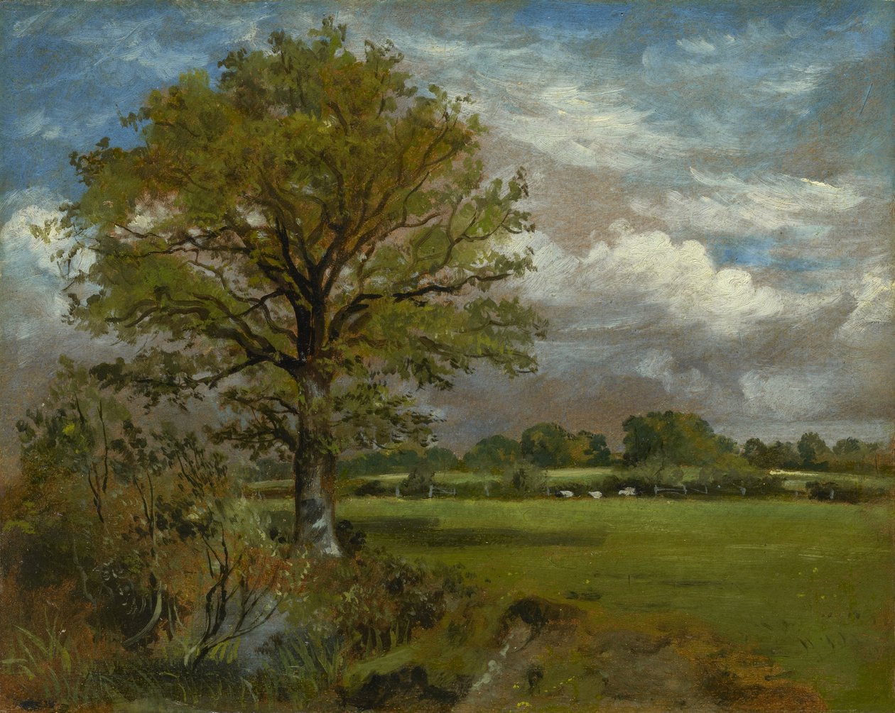 Træ på en eng, ca. 1850 af Lionel Constable