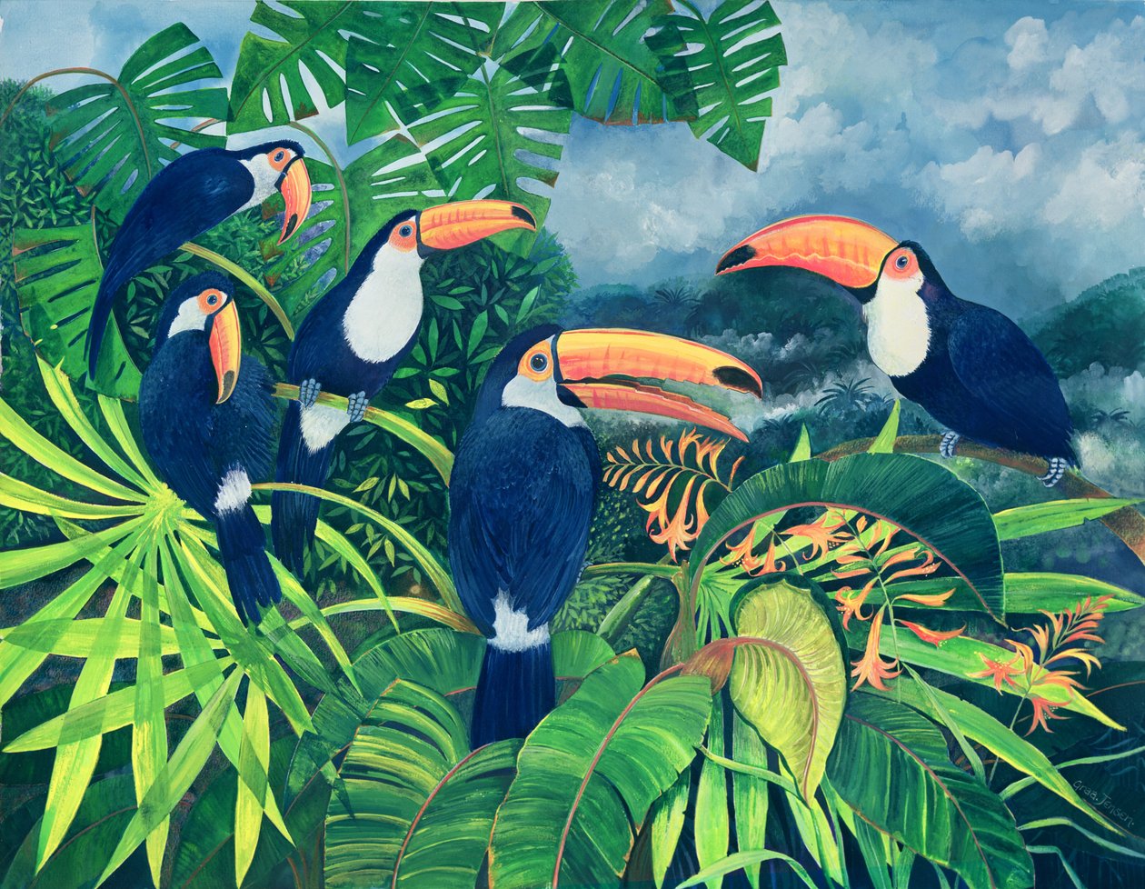 Toucan Talk (wc og gouache på papir) af Lisa Graa Jensen