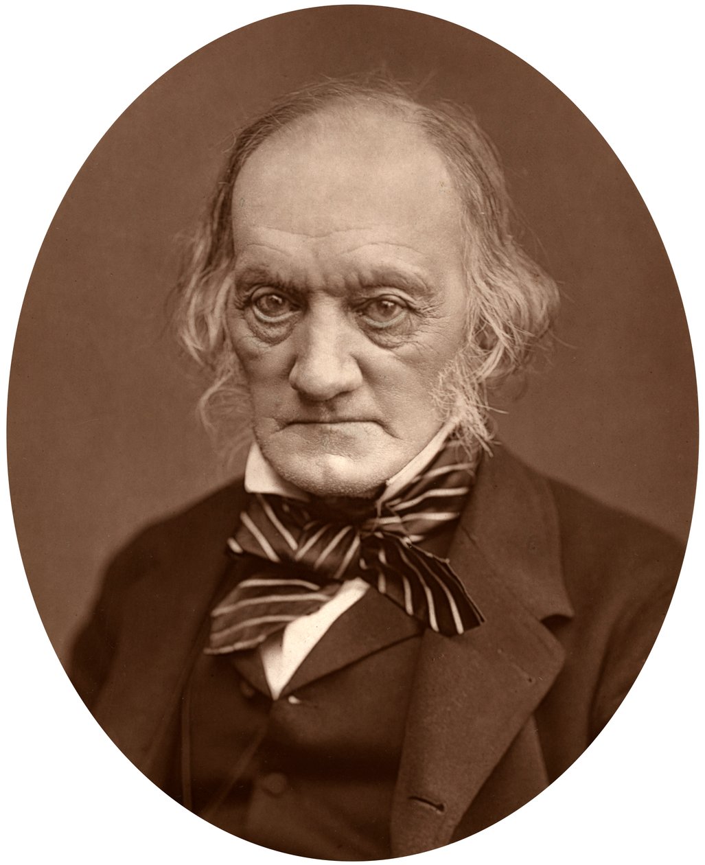 Richard Owen, 1878. af Lock and Whitfield