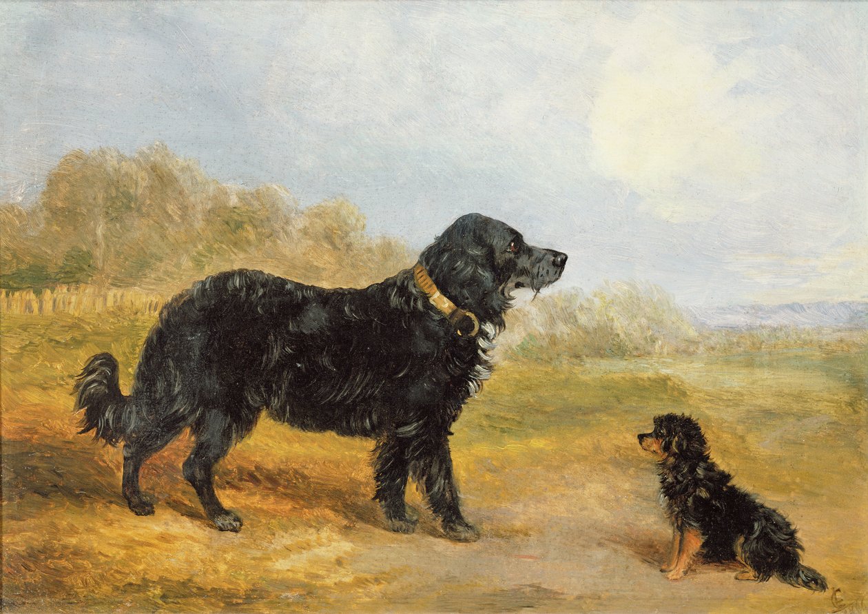 Hunde af Loey Campbell