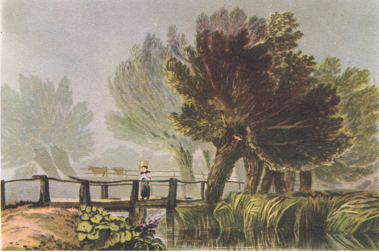 Llandrindod: Ash trees in spring, Nature in Britain udgivet af Collins, 1946 af Lonsdale Ragg