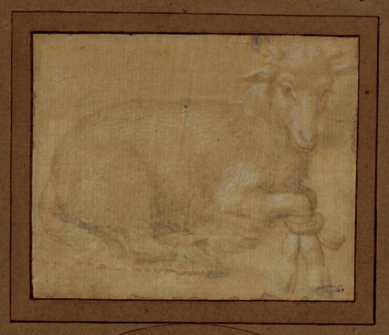 Undersøgelse af et lam ... af Lorenzo di Credi