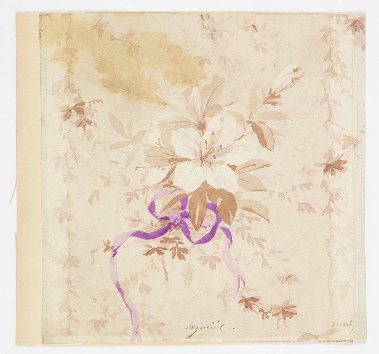 Azalea (Azalea) af Louis Apollinaire Sicard
