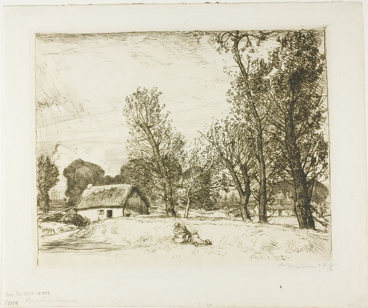 Pollard Poplars af Louis Auguste Lepère