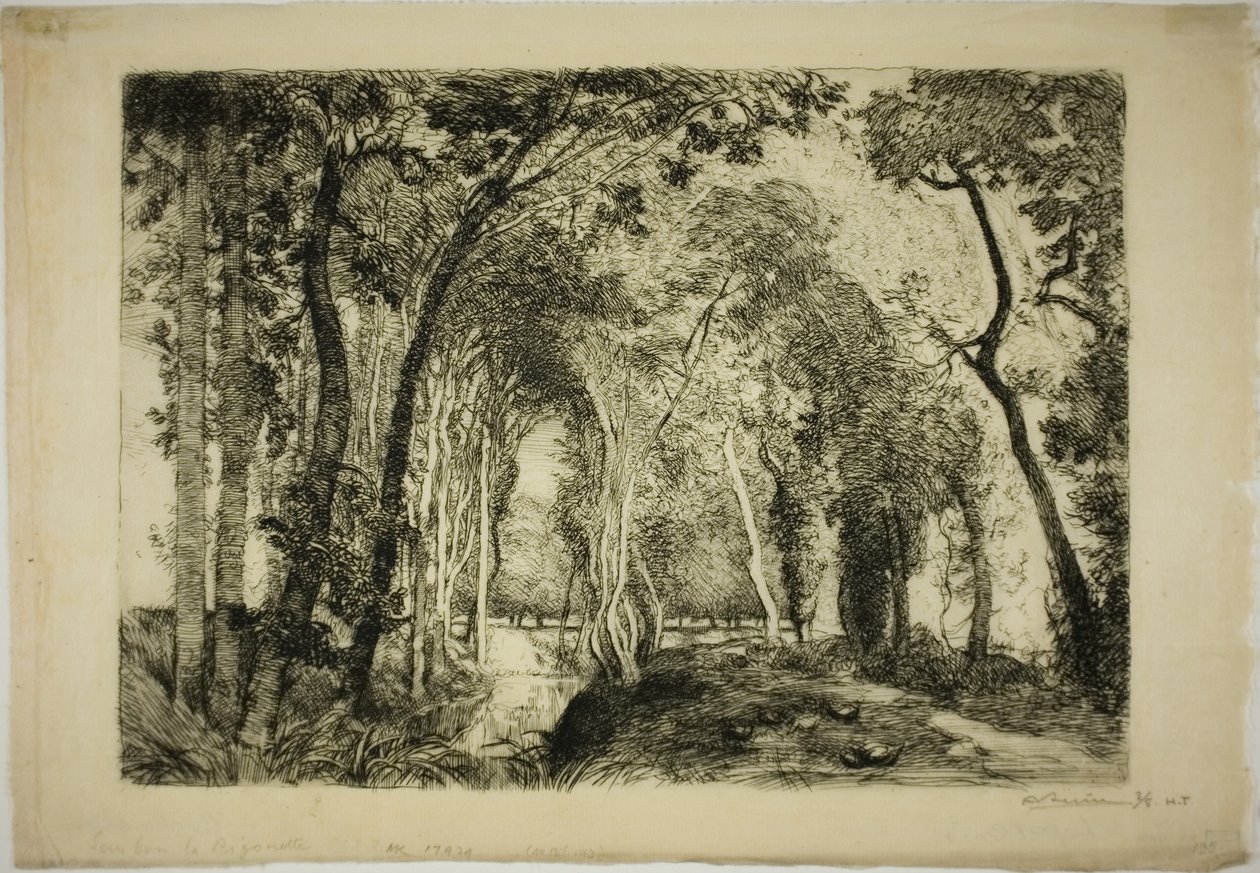 Sous Bois, på Rigonette af Louis Auguste Lepère