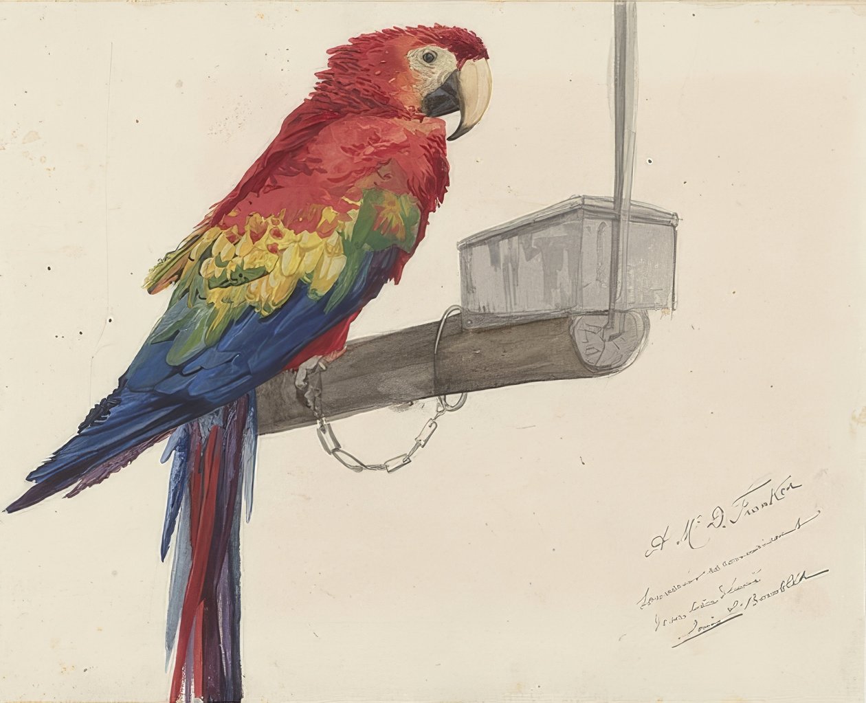 Papagei. 1879 af Louis Charles Bombled