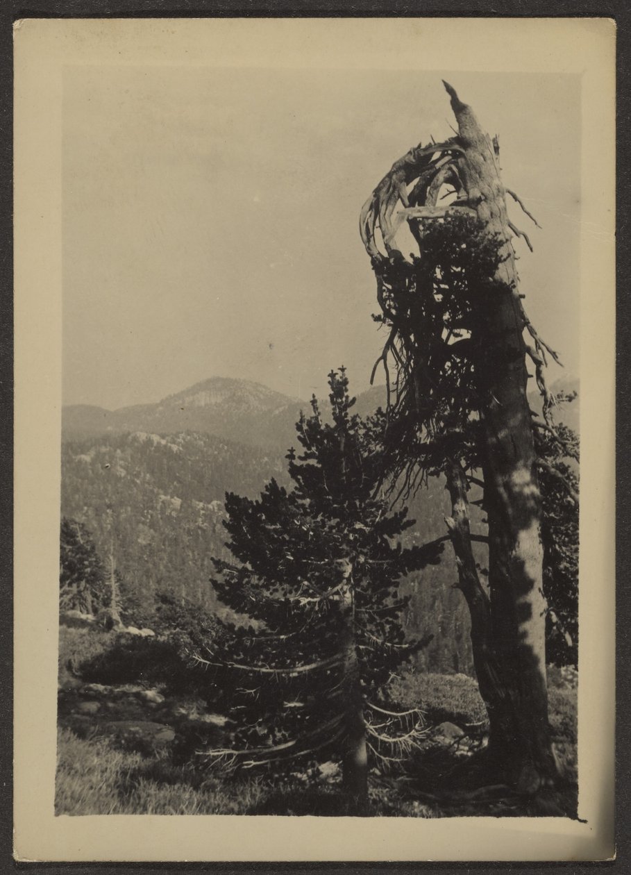 [Abe Lincoln Peak] af Louis Fleckenstein