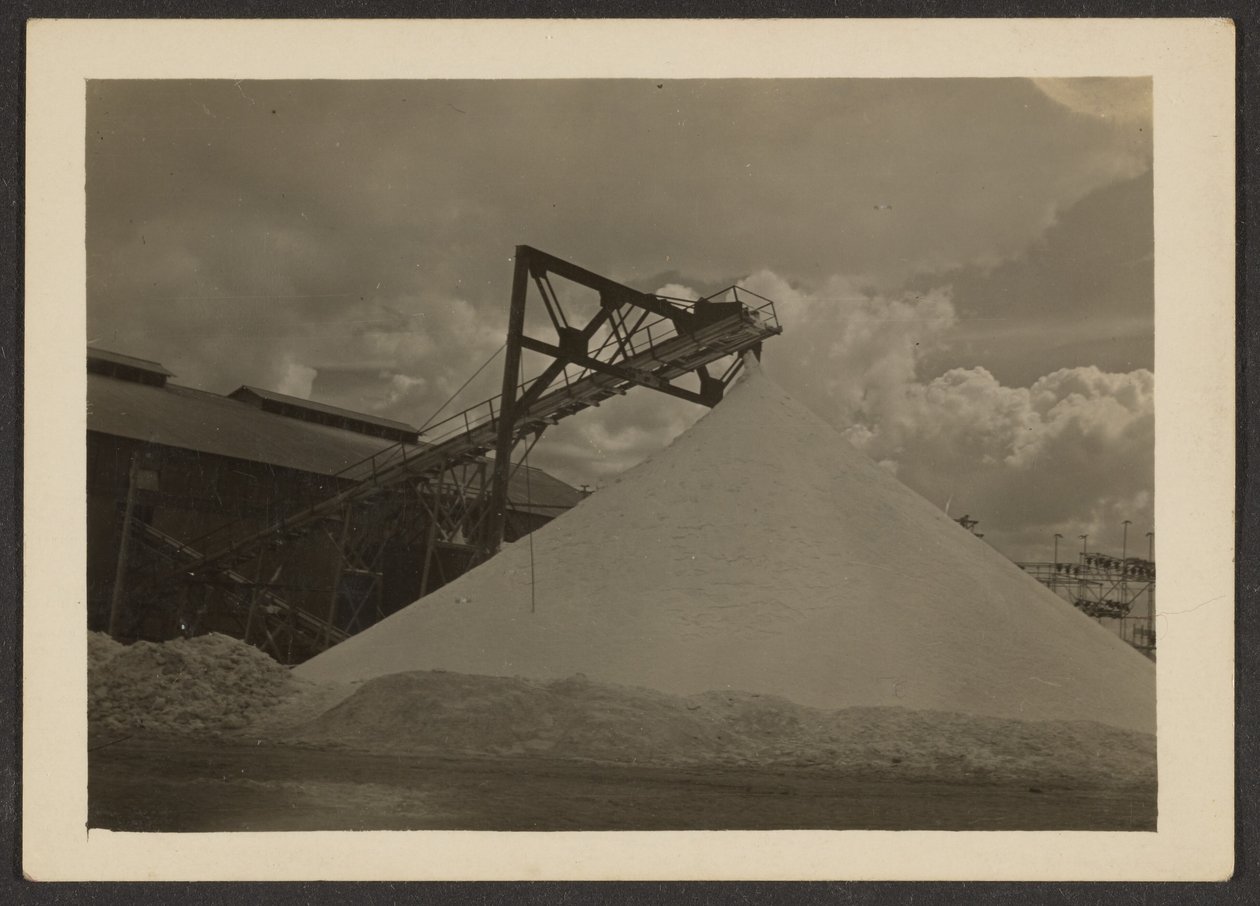 [Borax Mill, Trova, CA] af Louis Fleckenstein