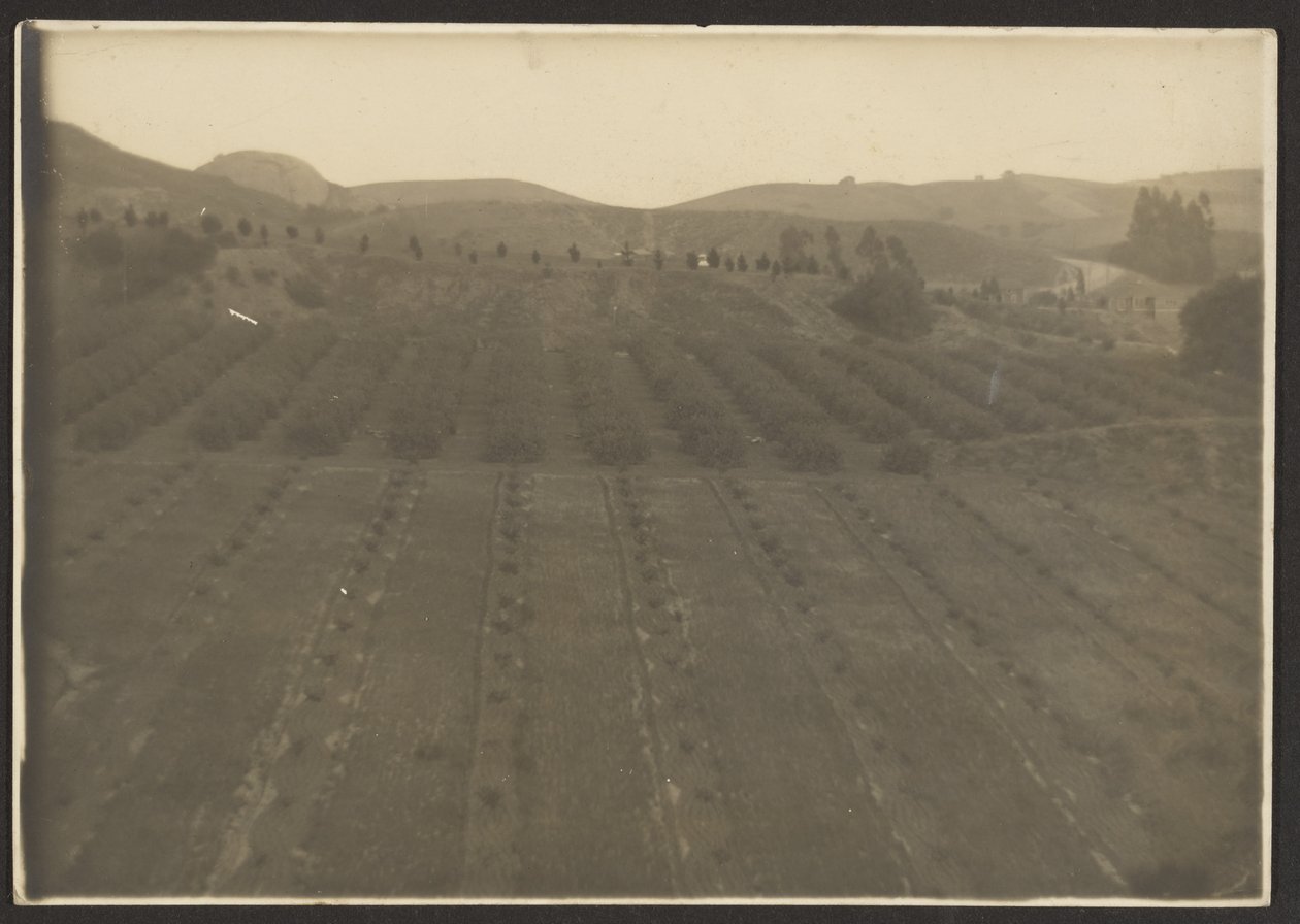 [Farm Landscape] af Louis Fleckenstein